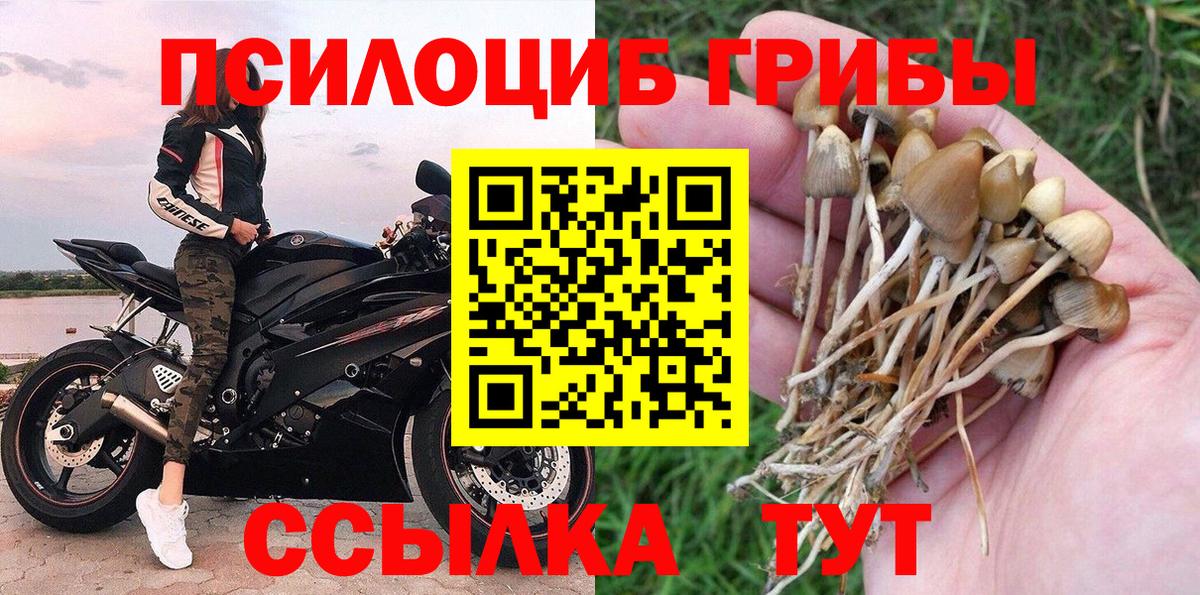 Псилоцибиновые грибы ЛСД  Псилоцибиновые грибы Psilocybine cubensis  Вход с VPN  Владикавказ 