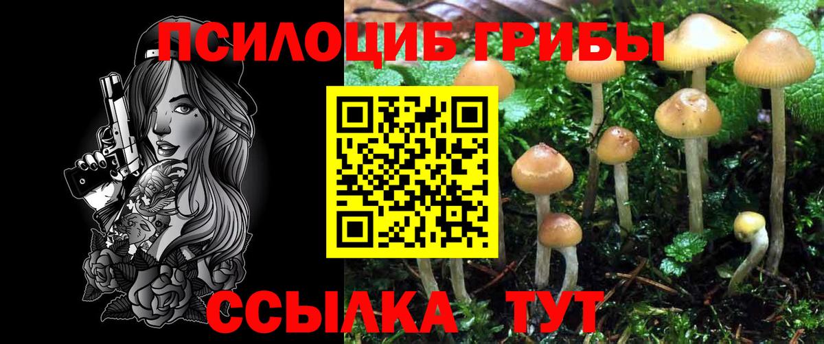Псилоцибиновые грибы Cubensis Владикавказ